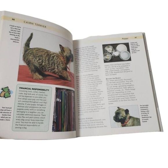 Cairn Terrier A Kennel Club Book A Comprehensive Guide To Owning And Caring For - Picture 7 of 12